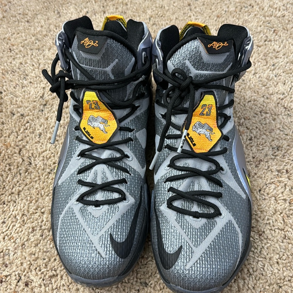 Nike Lebron 12 Flight shoes